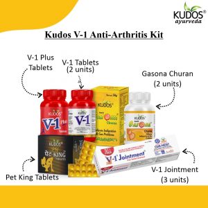 V-1 Kit - Joint Pain Expert