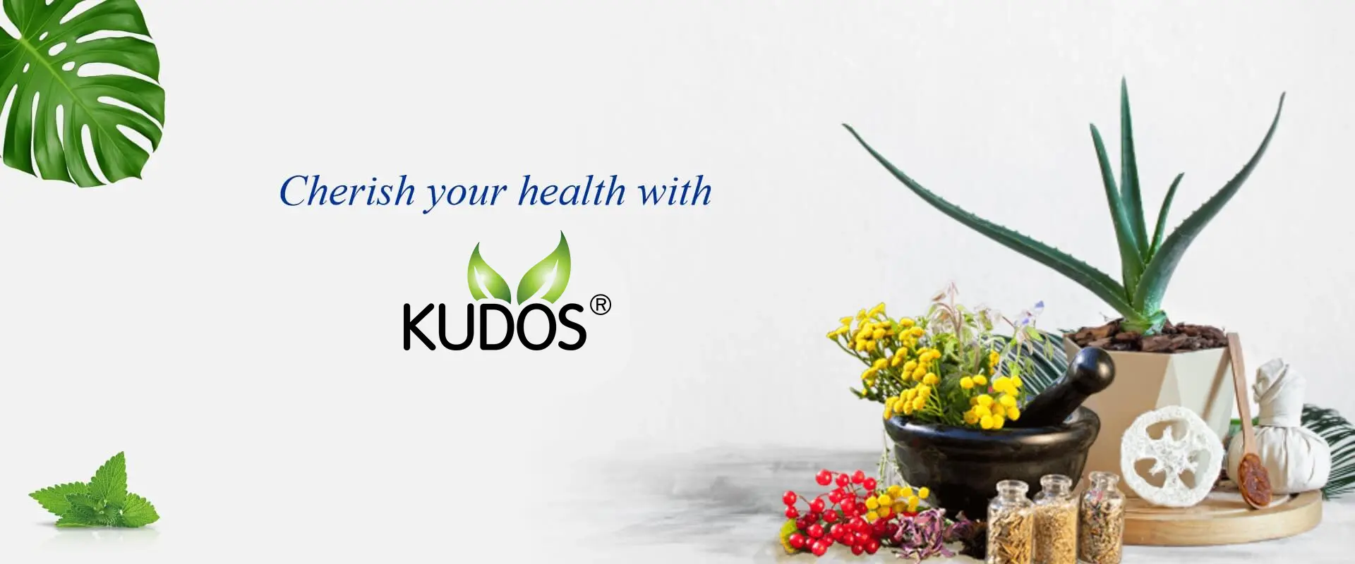 Kudos Ayurveda natural herbal wellness products for healthy living