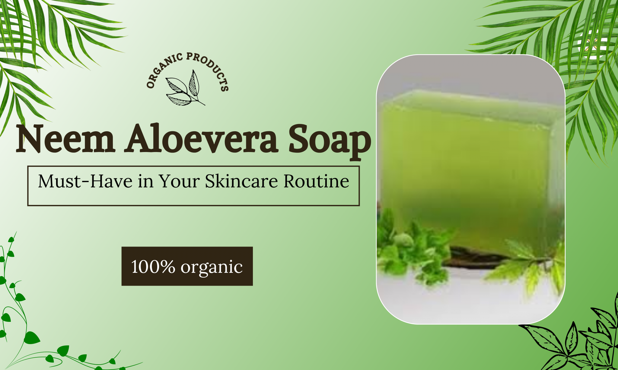 Why Neem Aloevera Soap is a MustHave in Your Skincare Routine